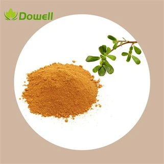 Ekstrakt z ziela portulaki w proszku